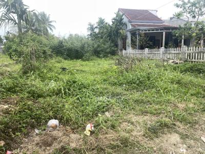 Bán đất kiệt Nguyễn Tri Phương 519,3m2 full thổ cư, cách 10m ra đường chính, giá 6.9 tỷ