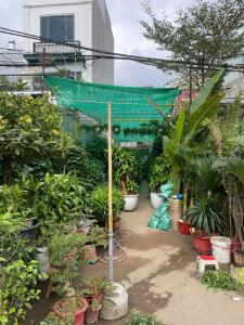 Bán đất Mặt đường Hoàng Minh Thảo - 57m - đang cho thuê - vị trí VIP