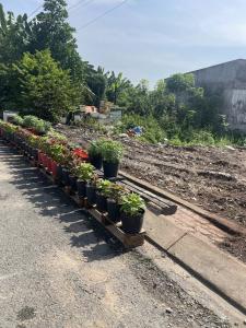 Bán đất mặt tiền 5x20m giá 4,5 tỷ Đường Đông Thạnh 7-1