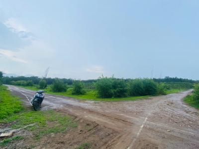 Bán ddaa50m x 50m đất thổ cư Tân Hà, Hàm Tân giá rẻ 45tr/m ngang