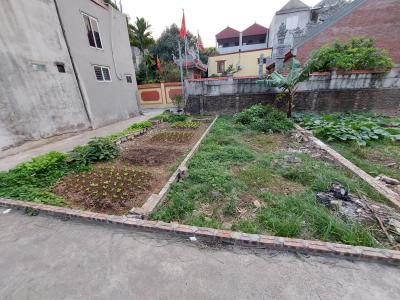 ???? BÁN ĐẤT ĐẸP VÀNH ĐAI 4 – ĐỨC THƯỢNG, HOÀI ĐỨC