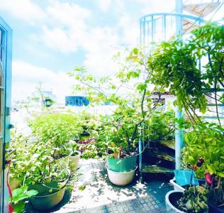 Bán nhà 5 Tầng, 2 mặt hẻm Huỳnh Văn Bành, Quận Phú Nhuận, 4 x 10 m, 5.6 tỷ