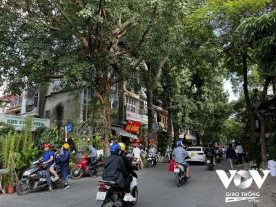 Bán nhà Bưởi, Ba Đình, phân lô, 3 gác, 43m2, 6 tầng thang máy, chỉ 14 tỷ