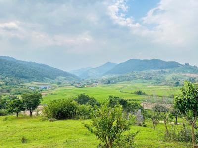 Bán nhanh đất Mộc Châu phù hợp kinh doanh, homestay, check in