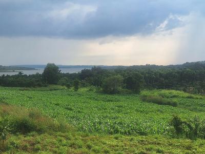 Bán quả đồi 11.777m2 ( gần 1ha2) đất view hồ sông Ray, vị trí đẹp nhìn hồ mát mẻ