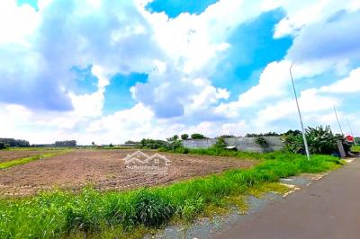 Bán Rẻ Sào đất (20x100=2000m2) Gần Hồ Du Lịch Thanh An, Dân Cư đông, Thuận Tiện Buôn Bán, 500tr