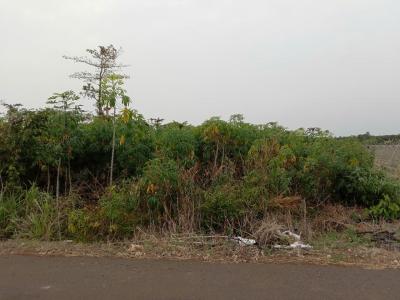 Cần bán lô đất chính chủ. Thuộc xã đa bạc. Đường nhựa sát dân. DT. 4sao2 giá 3t2 hết sổ.