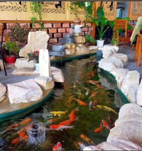 CCG – XUÂN THỚI THƯỢNG, HÓC MÔN - LÔ GÓC 2MT SIÊU ĐẸP – VỊ TRÍ VÀNG KD ĐỈNH CAO!