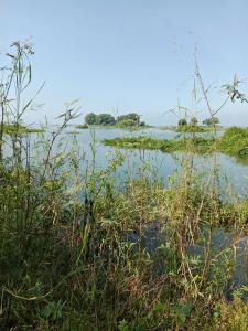 Chính Chủ Cần Bán Đất Nghỉ Dưỡng View Hồ Trị An Cực Đẹp - Thoáng Mát Tại La Ngà – Định Quán – Đồng