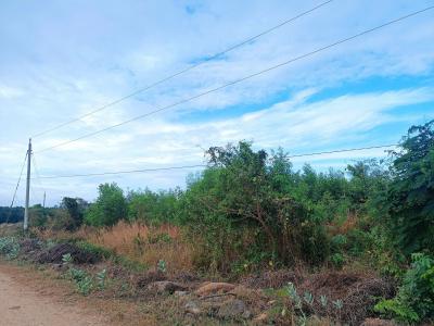 CHÍNH CHỦ CẦN BÁN GẦN 12.000m² ĐẤT TẠI XÃ SÔNG BÌNH, BẮC BÌNH, BÌNH THUẬN