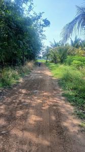 CHÍNH CHỦ CẦN BÁN GẤP LÔ ĐẤT XÃ TÂN HỘI – H. TÂN CHÂU – TÂY NINH.
