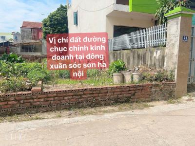 CHÍNH CHỦ E CẦN BÁN RA LÔ ĐẤT ĐƯỜNG CHỤC CHÍNH KINH DOANH DC TẠI ĐÔNG XUÂN SS HÀ NỘI GIA  CẦN TIỀN