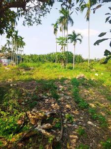 Chủ kẹt tiền cần bán lô đất tại MT đường DX 017 có 1000 m² đất ở., Cẩm Thanh giá 18 tỷ