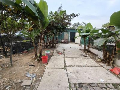 Đất ruộng SXNN, 243m2, mt10m, 1.25 tỷ, 3 xe ô tô tránh, vỉa hè, nhà C4. Kim Chung, Đông Anh.