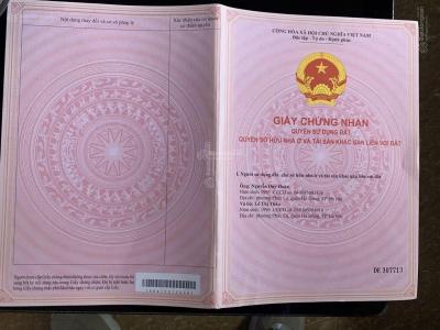 ĐẤT ĐẸP – GIÁ ĐẦU  TƯ  – CHÍNH CHỦ CẦN BÁN LÔ ĐẤT VỊ TRÍ ĐẸP TẠI Xã Quảng Trạch, Quảng Xương, Thanh