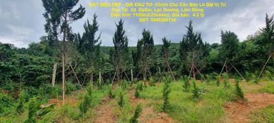 ĐẤT SIÊU ĐẸP - GIÁ ĐẦU TƯ- Chính Chủ Cần Bán Lô Đất Vị Trí Đẹp Tại  Xã  ĐạSar, Lạc Dương, Lâm Đồng