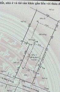 HÀNG NGỘP CỰC HIẾM NHÀ VƯỜN HƠN 500M² GIỮA LÒNG TÂN XUÂN – CHỈ 16 TỶ!