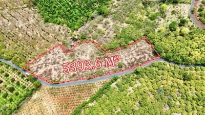 Hòa Phú- Buôn Ma Thuột- Đắk Lắk dt hơn 5 sào view sông Serepok xinh đẹp đất sẵn cà phê và sầu chỉ