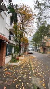 LÔ GÓC SIÊU ĐẸP – NHÀ PHONG CÁCH BẮC ÂU GIỮA LÒNG VĂN QUÁN – VIEW HỒ CỰC CHILL