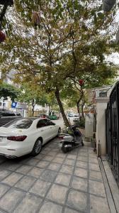 NGUYỄN DU – NGỌC THỔ TRUNG TÂM – THỊNH VƯỢNG DỒI DÀO