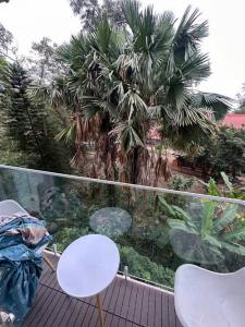 SIÊU HIẾM !!! NHÀ MẶT NGÕ LINH LANG 45M 5 TẦNG MT 3.5M DT KHỦNG GIÁ 21 TỶ 0336212066