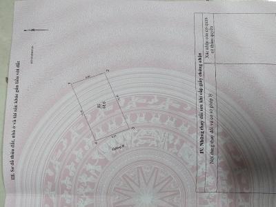 Siêu phẩm Trung Hòa – Cầu Giấy: 68m2, gần Big C, ô tô vào nhà – Mức giá không tưởng chỉ nhỉnh chục