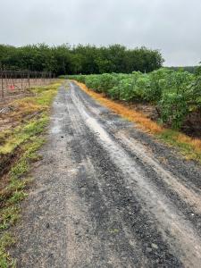 SỞ HỮU NGAY LÔ ĐẤT ĐẸP ????Diện tích 1000m2